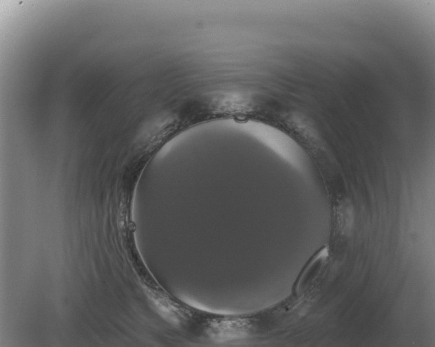 X0000081460517200701191743