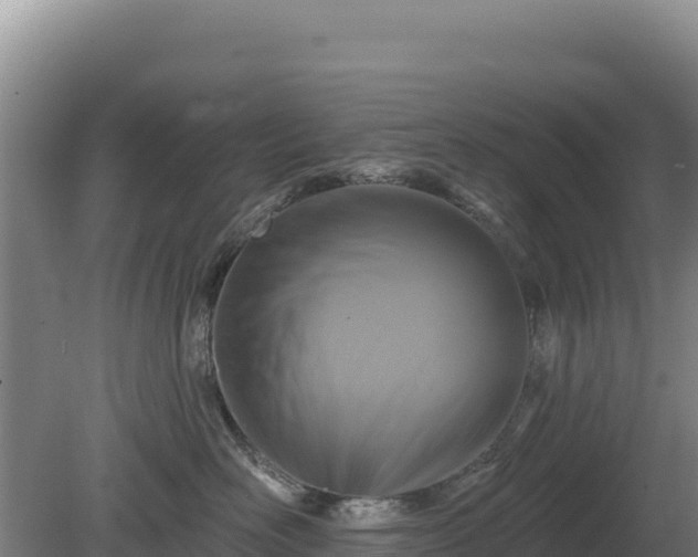 X0000081460526200701191743