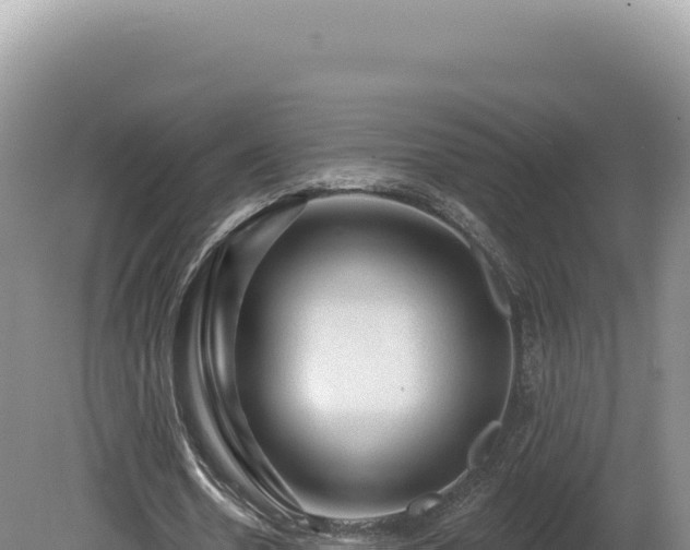 X0000081460530200701191742