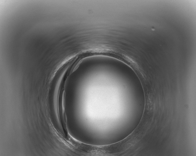 X0000081460535200701191742