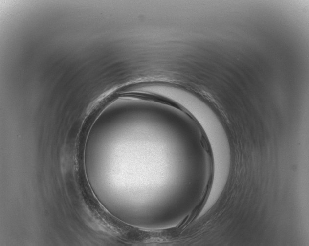 X0000081460536200701191742
