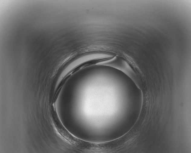 X0000081460538200701191742