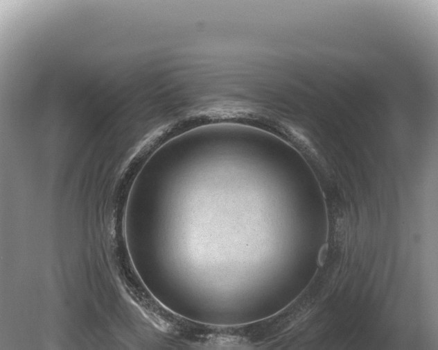 X0000081460539200701191742