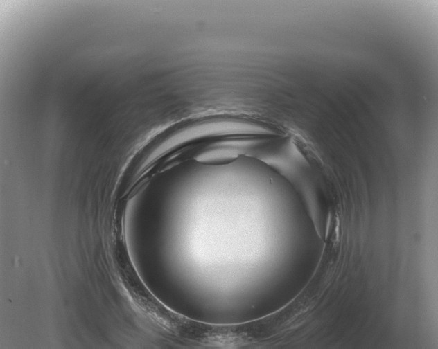 X0000081460540200701191742