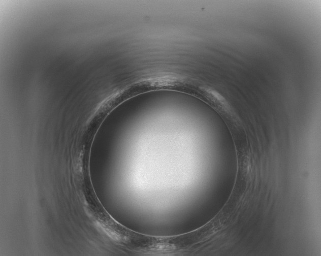 X0000081460543200701191742