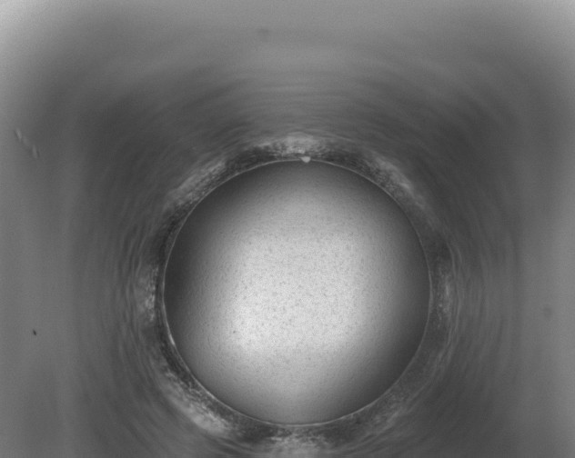 X0000081460545200701191742