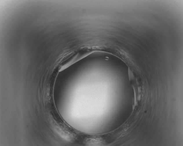 X0000081460548200701191742