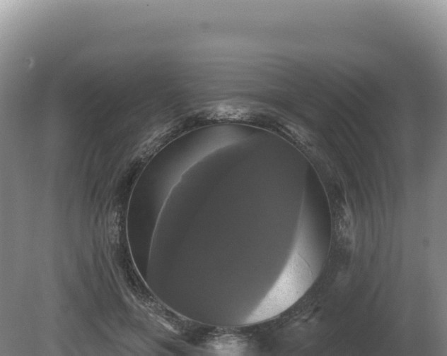 X0000081460551200701191742