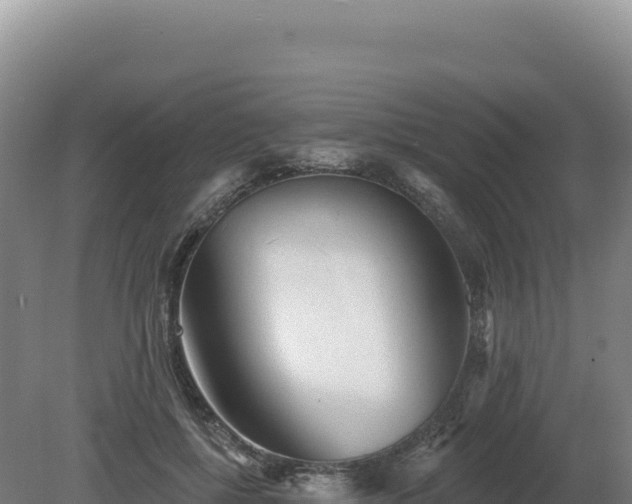 X0000081460552200701191742