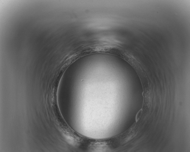 X0000081460554200701191742