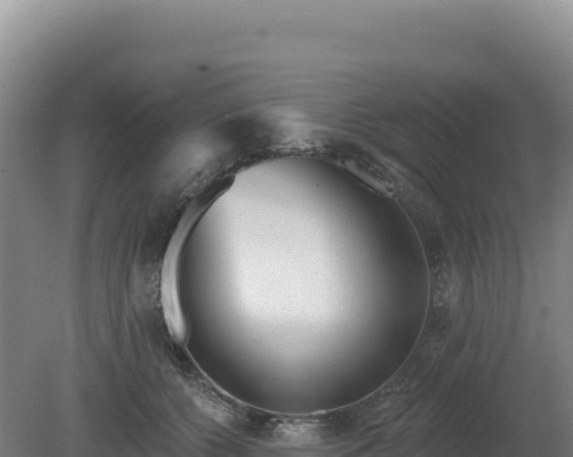 X0000081460560200701191743