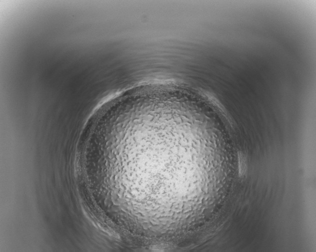 X0000081460579200701191742