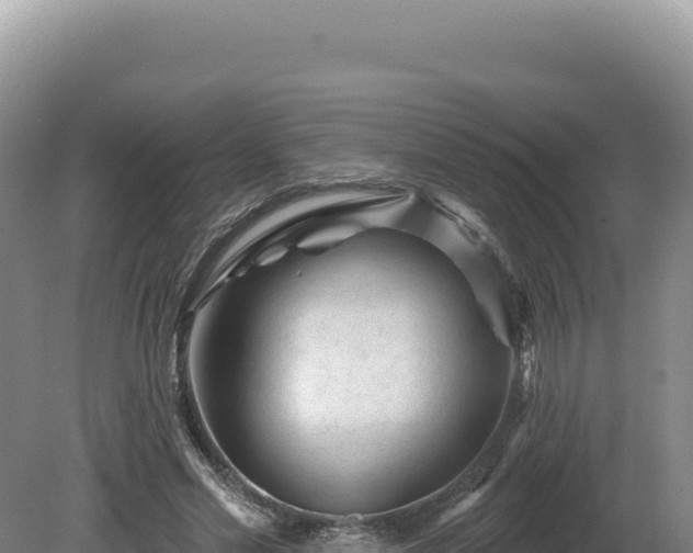 X0000081460589200701191742