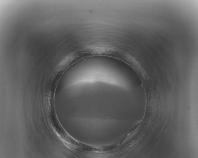 X0000081460590200701191742