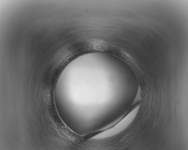 X0000081460595200701191742