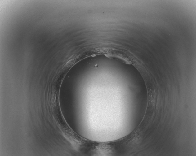 X0000081460603200701191742