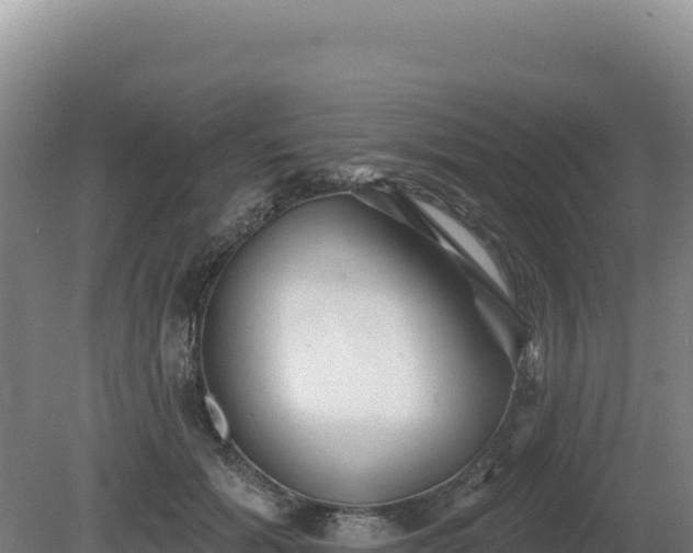 X0000081460605200701191742
