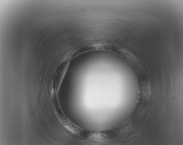 X0000081460611200701191741