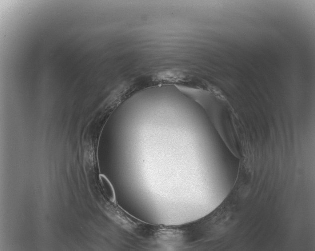 X0000081460617200701191741