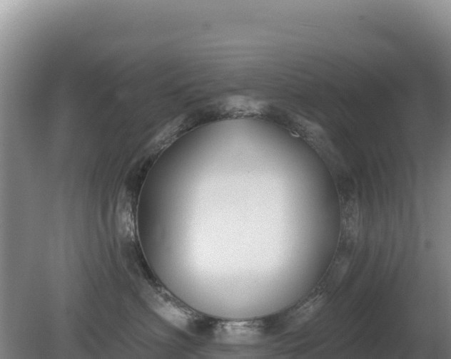 X0000081460622200701191741