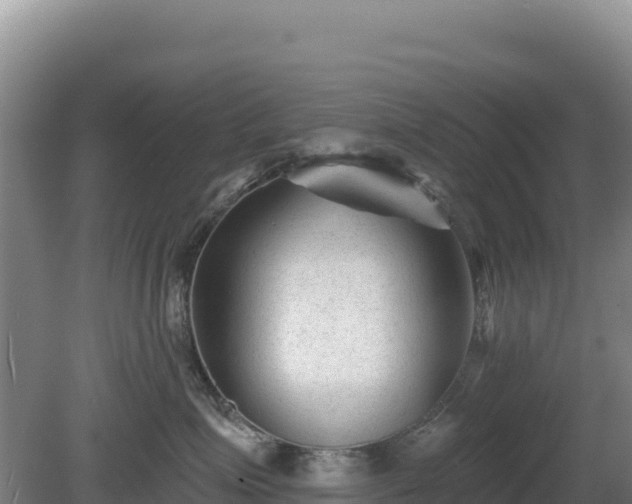X0000081460623200701191741