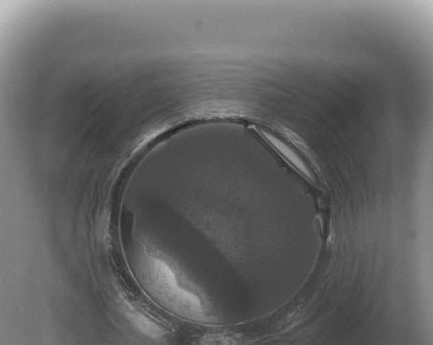 X0000081460627200701191740