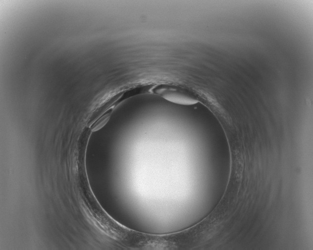 X0000081460631200701191740