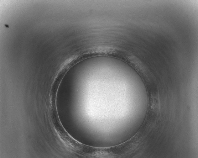 X0000081460636200701191741