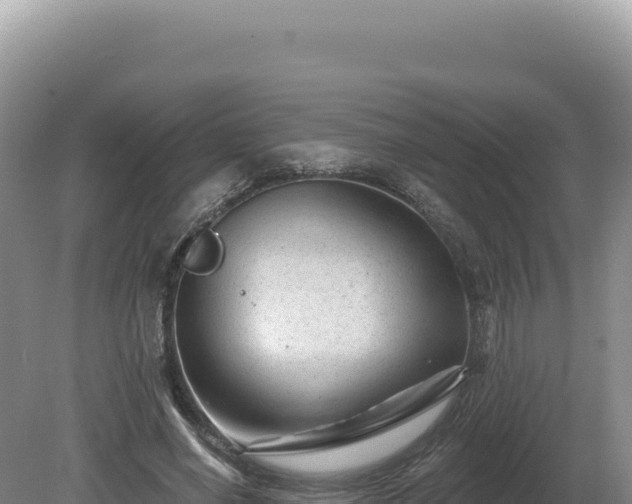 X0000081460638200701191741