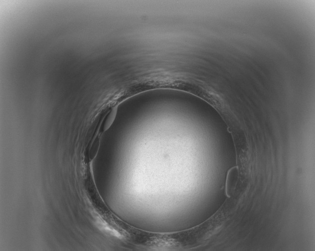X0000081460642200701191741