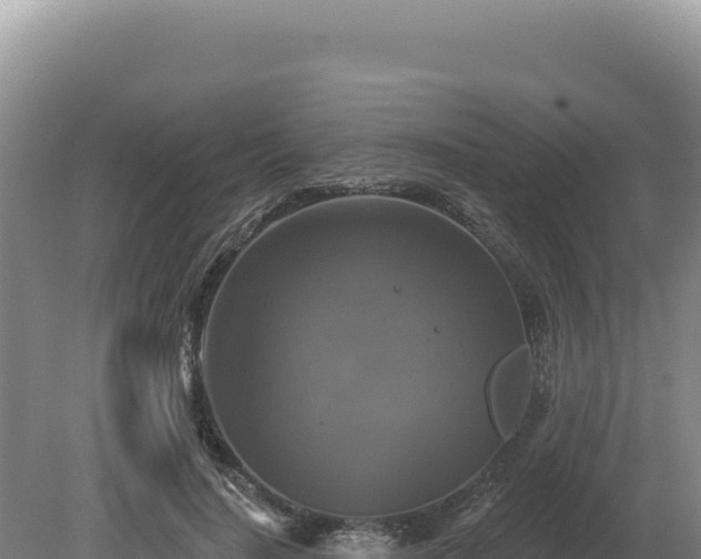 X0000081460644200701191741