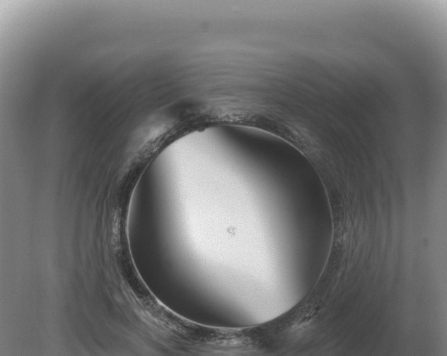 X0000081460646200701191741