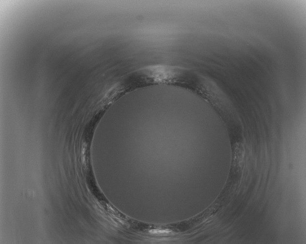 X0000081460650200701191741