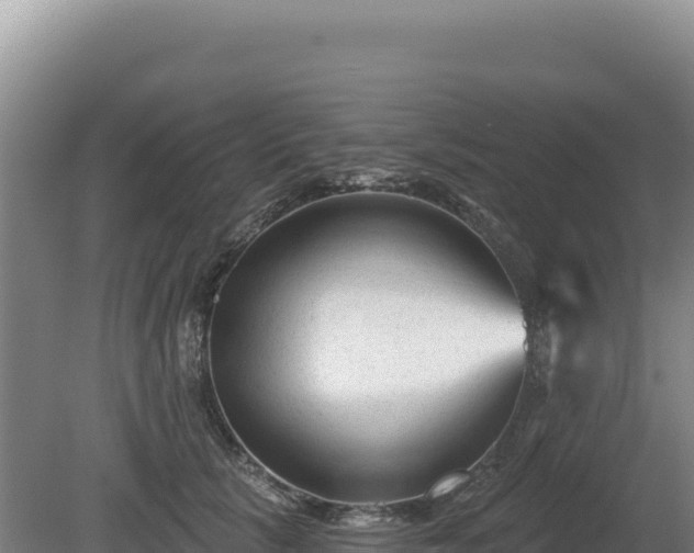 X0000081460657200701191741
