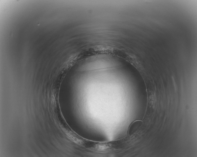 X0000081460662200701191741
