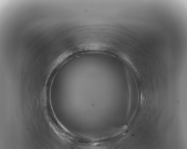 X0000081460678200701191740