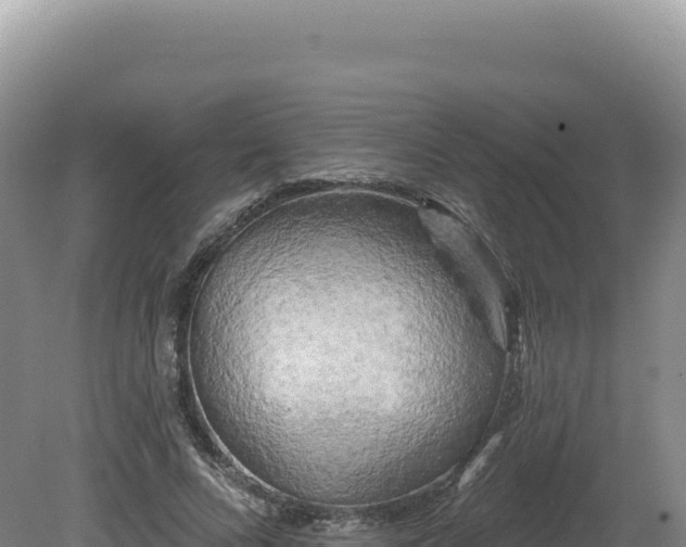X0000081460688200701191740