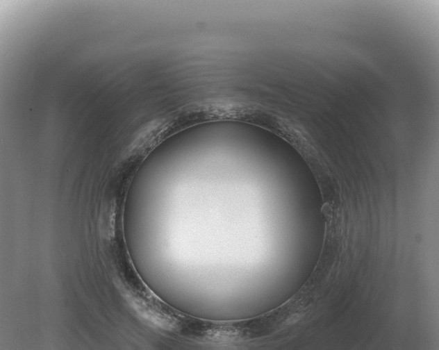 X0000081460694200701191740