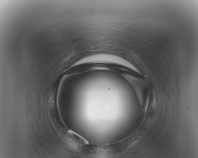X0000081460697200701191740