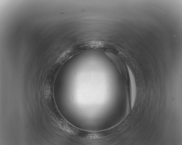 X0000081460704200701191740