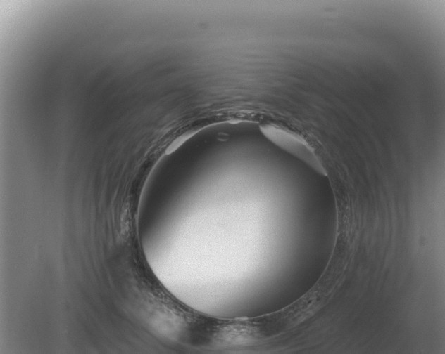 X0000081460708200701191740