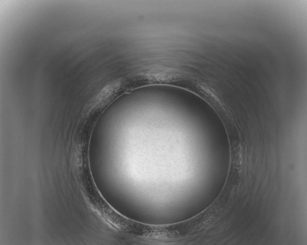 X0000081460738200701191739