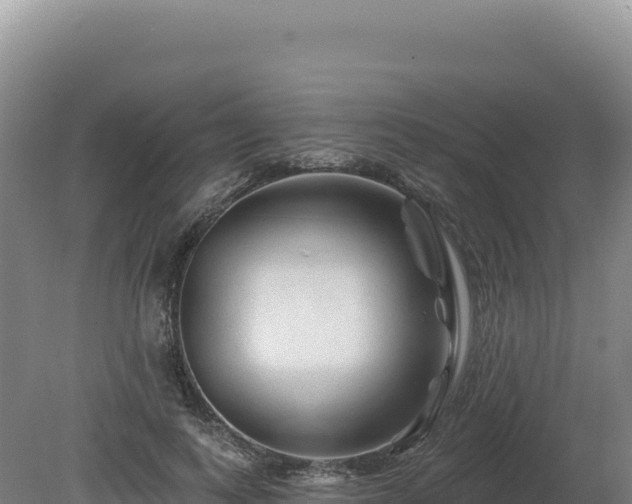 X0000081460743200701191739