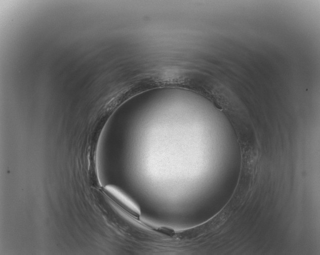 X0000081460746200701191739