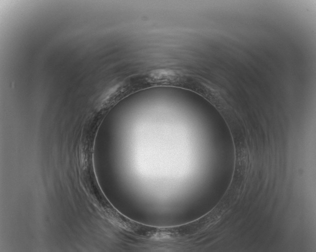 X0000081460751200701191739