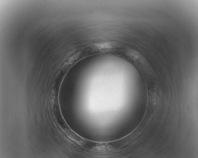 X0000081460752200701191739