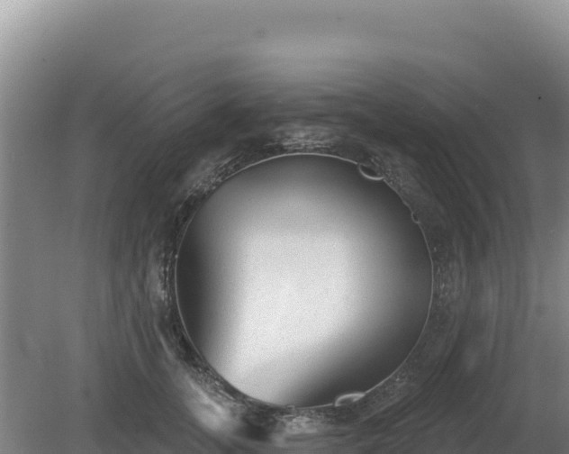 X0000081460755200701191739