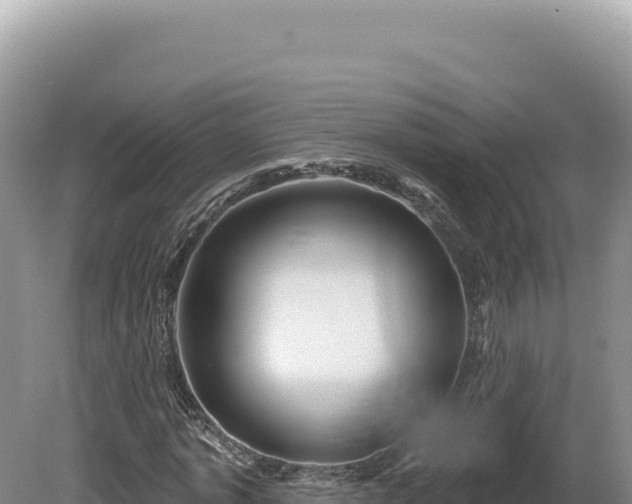 X0000081460773200701191739