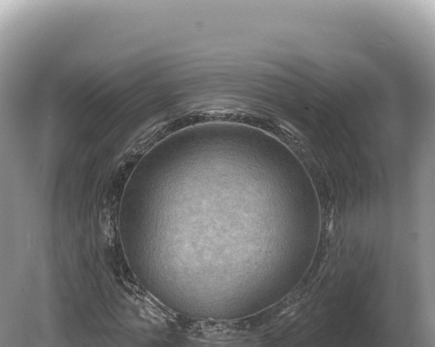 X0000081460774200701191739