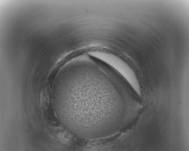 X0000081460776200701191739